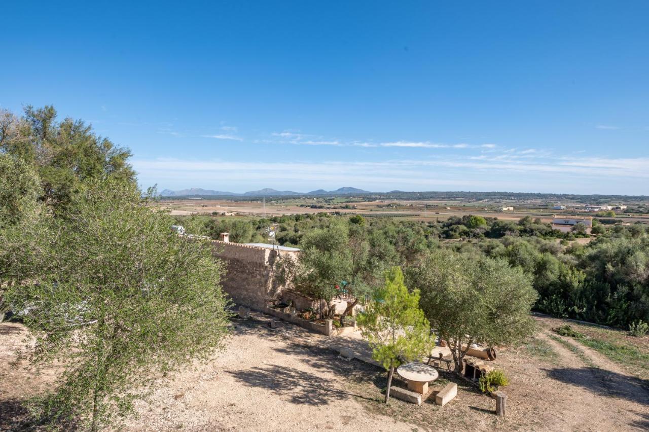 Son Pusseta Villa Petra  Exterior foto